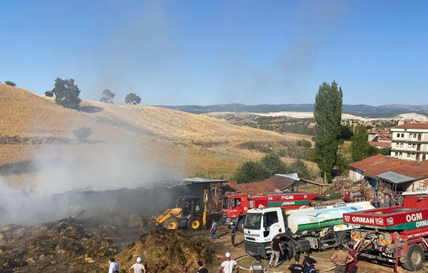 Foto - Kütahya'da yangın! 3 büyükbaş hayvan yanarak can verdi