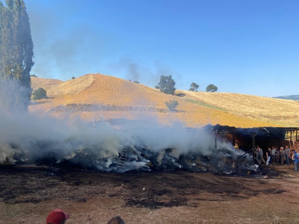 Foto - Kütahya'da yangın! 3 büyükbaş hayvan yanarak can verdi