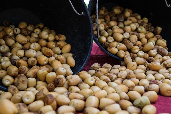 Foto - Kutsal topraklardan hurmalarla dönüyorlar