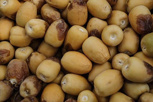 Foto - Kutsal topraklardan hurmalarla dönüyorlar