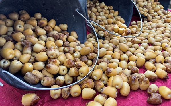 Foto - Kutsal topraklardan hurmalarla dönüyorlar