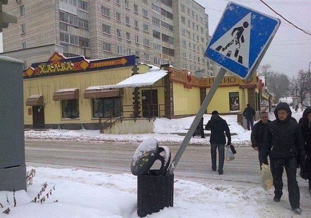 Foto - Kutup ayıları eve girmesin diye bakın ne yaptılar