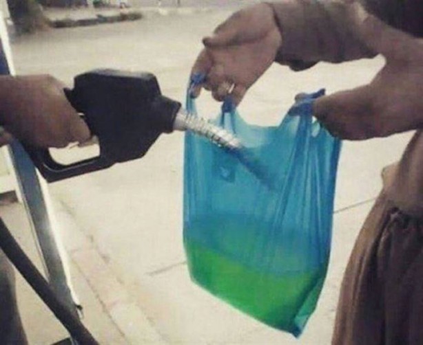 Foto - Kutup ayıları eve girmesin diye bakın ne yaptılar