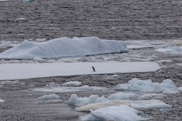 Foto - Kutuplarda olağan dışı bir olay! Böyle bir şey tarihte görülmedi