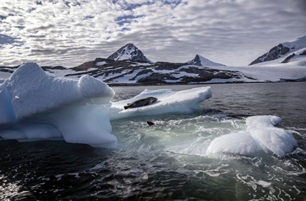 Foto - Kutuplarda olağan dışı bir olay! Böyle bir şey tarihte görülmedi