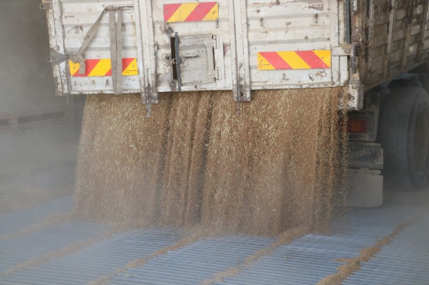 Foto - Kuyruklar oluştu ama yetmez! Buğday ambarında yeni rekor yükleniyor