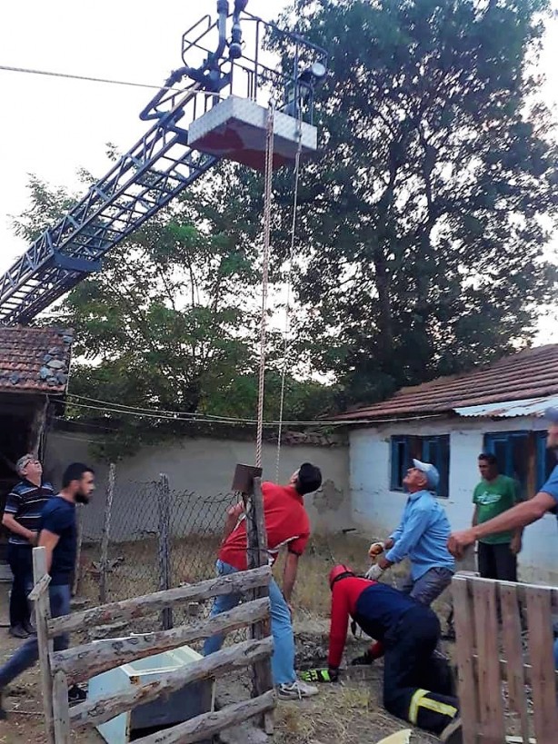 Foto - Kuyuya düşen kurbanlık inek kurtarıldı