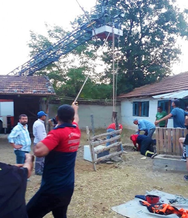Foto - Kuyuya düşen kurbanlık inek kurtarıldı