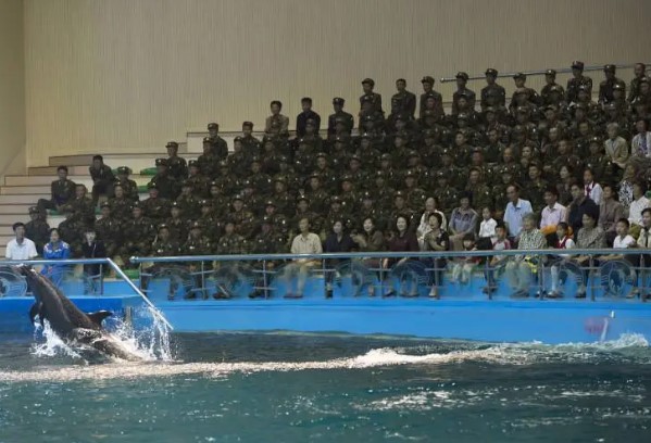 Foto - Kuzey Kore'nin gizli yaşamı ifşa oldu! İşte dışarı sızan fotoğraflar