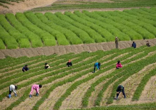 Foto - Kuzey Kore'nin gizli yaşamı ifşa oldu! İşte dışarı sızan fotoğraflar