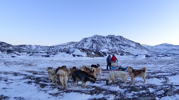 Foto - Kuzey Kutbu'nda eriyen buzullar görüntüledi