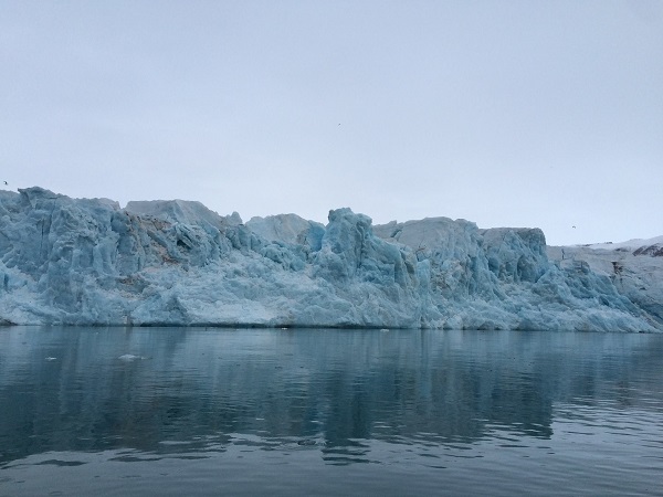 Kuzey Kutbu'nda eriyen buzullar görüntüledi