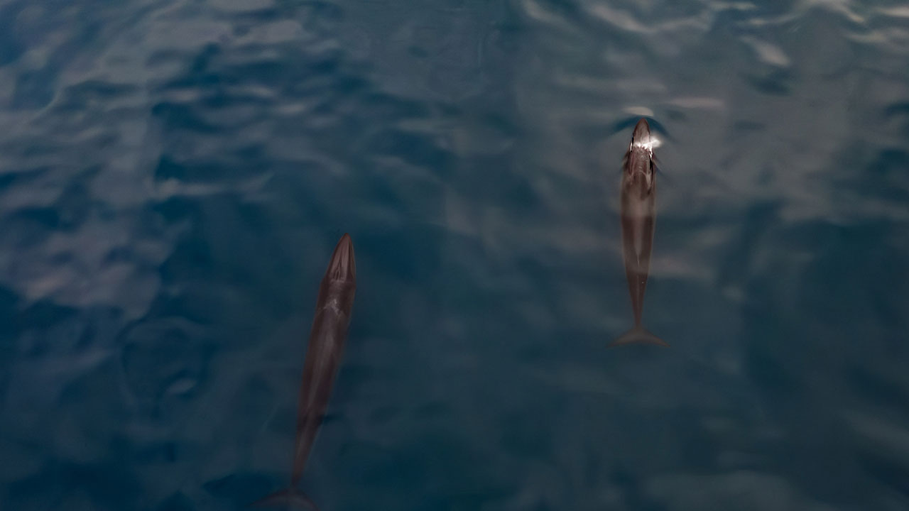 Foto - Kuzey Kutbu’nda şaşırtan buluş! Arktik’te Türk imzası