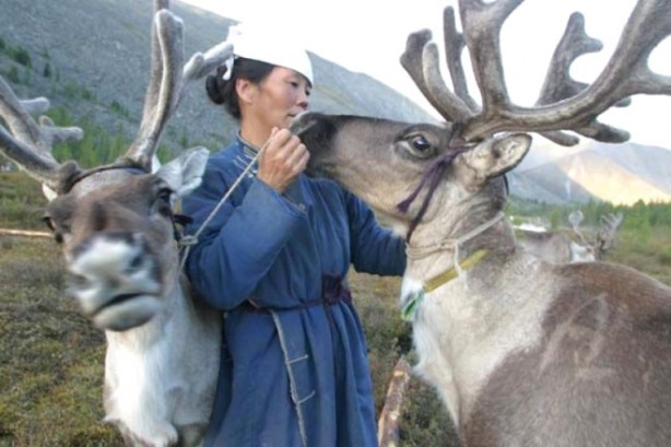 Foto - Kuzey Moğolistan'da yaşayan göçebe Türkler: Dukhalar
