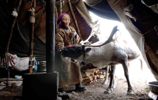 Foto - Kuzey Moğolistan'da yaşayan göçebe Türkler: Dukhalar