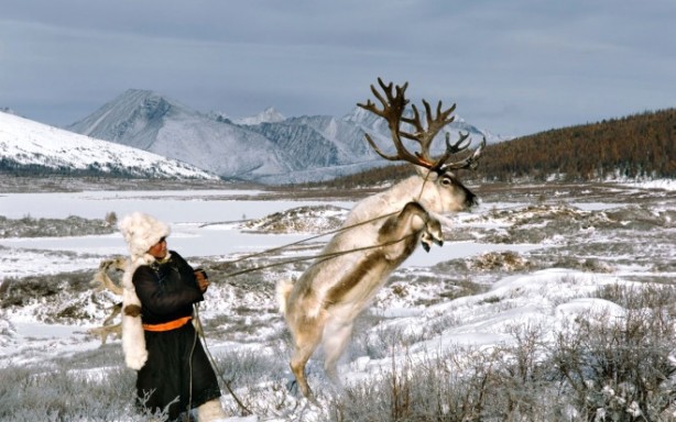 Foto - Kuzey Moğolistan'da yaşayan göçebe Türkler: Dukhalar
