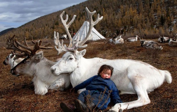 Foto - Kuzey Moğolistan'da yaşayan göçebe Türkler: Dukhalar