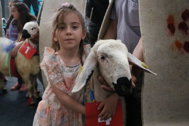 Kuzu ve buzağı güzellik yarışmasında renkli görüntüler!