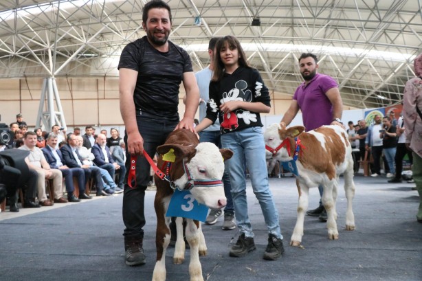 Foto - Kuzu ve buzağı güzellik yarışmasında renkli görüntüler!
