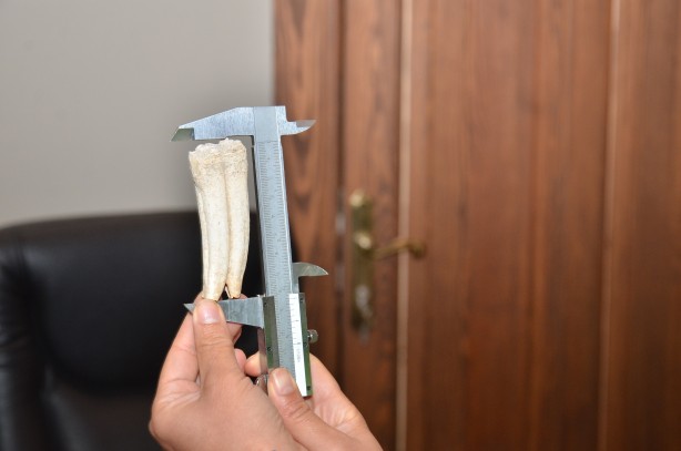 Foto - Kuzularını otlatırken buldu! Tarihi buluş sonrası uzmanlar harekete geçti