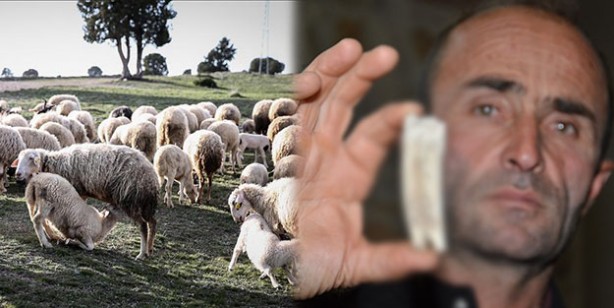 Kuzularını otlatırken buldu! Tarihi buluş sonrası uzmanlar harekete geçti