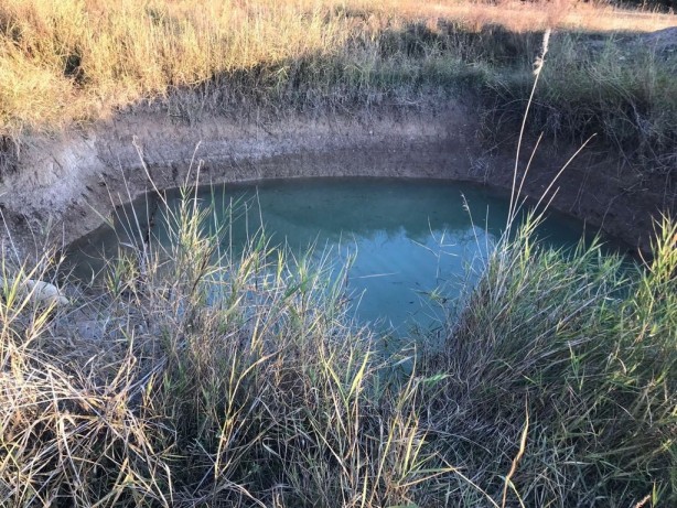 Foto - Kuzusunu kurtarmak için gölete giren çocuktan acı haber!