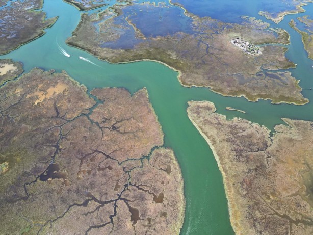 Foto - Labirent görünümlü Dalyan sazlıkları şaşırtıyor