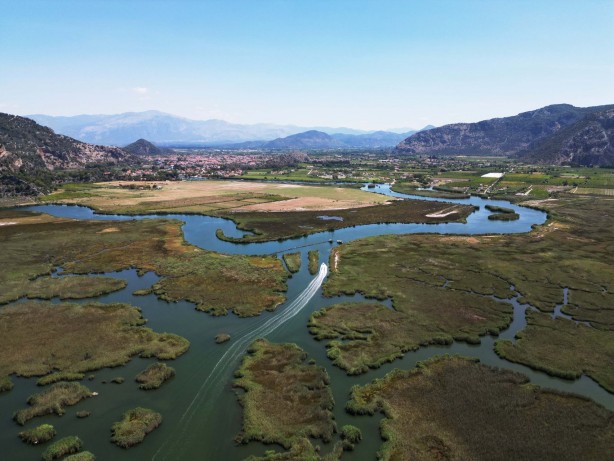 Foto - Labirent görünümlü Dalyan sazlıkları şaşırtıyor