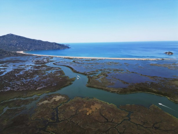 Foto - Labirent görünümlü Dalyan sazlıkları şaşırtıyor