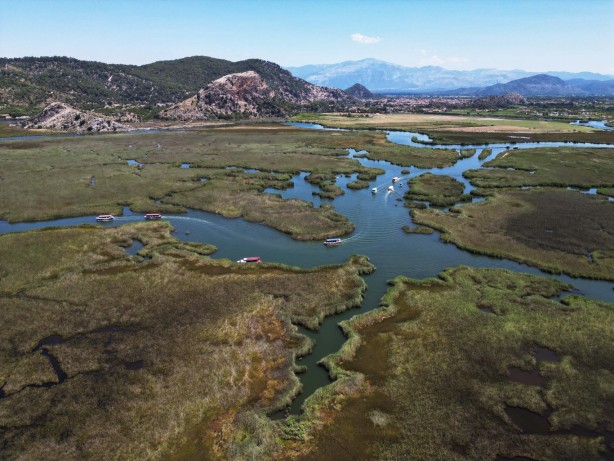 Foto - Labirent görünümlü Dalyan sazlıkları şaşırtıyor