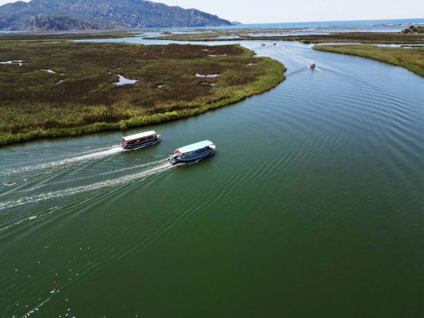 Foto - Labirent görünümlü Dalyan sazlıkları şaşırtıyor