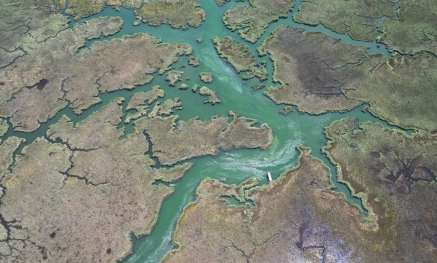 Foto - Labirent görünümlü Dalyan sazlıkları şaşırtıyor