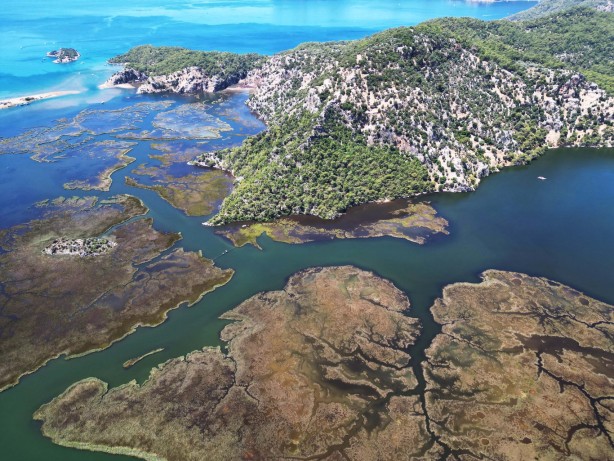 Foto - Labirent görünümlü Dalyan sazlıkları şaşırtıyor