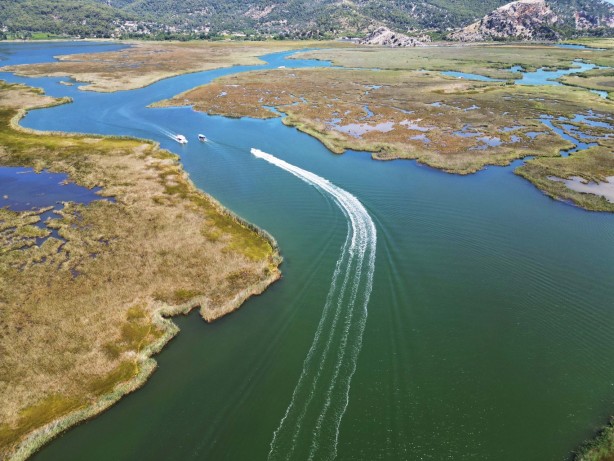 Foto - Labirent görünümlü Dalyan sazlıkları şaşırtıyor