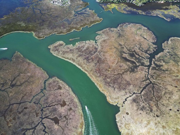 Foto - Labirent görünümlü Dalyan sazlıkları şaşırtıyor