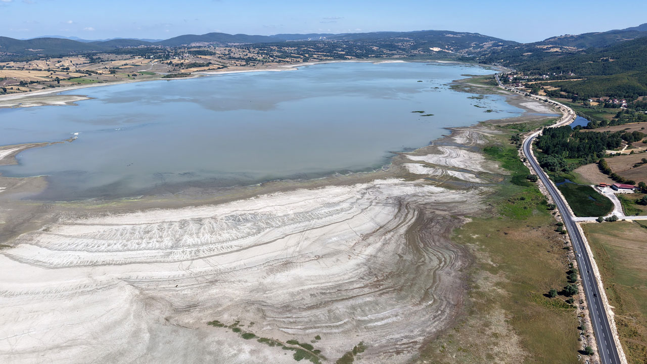 Foto - Ladik Gölü’nde vahim tablo! Balıkların yerini inekler aldı!