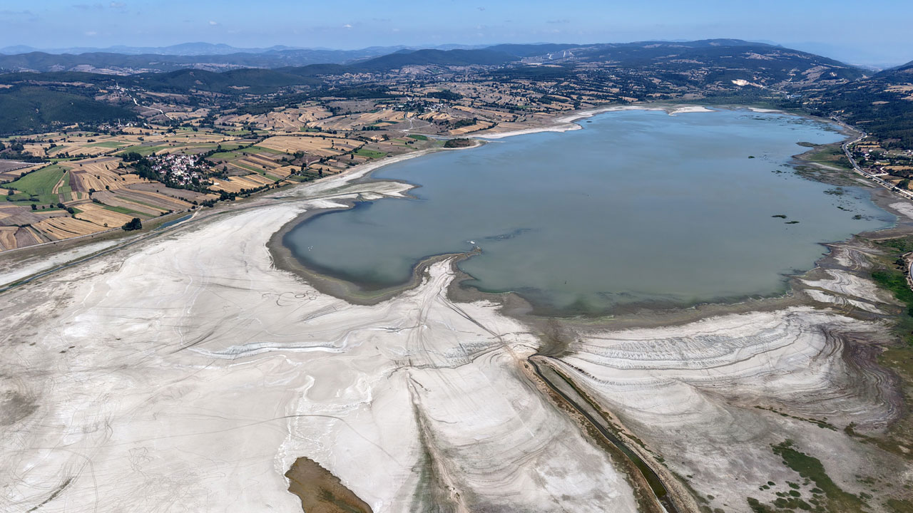 Foto - Ladik Gölü’nde vahim tablo! Balıkların yerini inekler aldı!