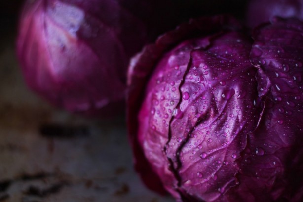 Foto - Lahana deyip geçmeyin! Mikroplarla savaşıyor