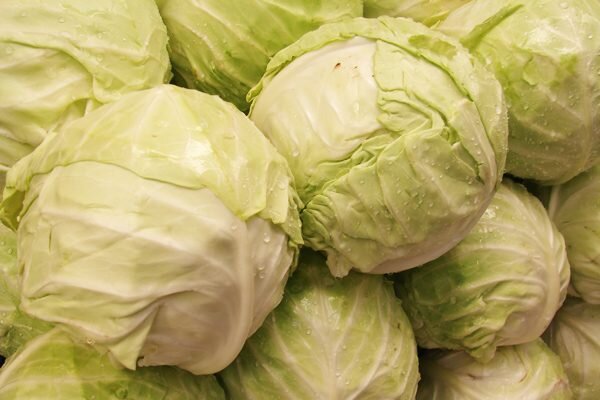 Foto - Lahana deyip geçmeyin! Mikroplarla savaşıyor