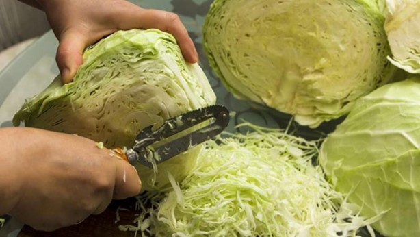 Foto - Lahana deyip geçmeyin! Mikroplarla savaşıyor