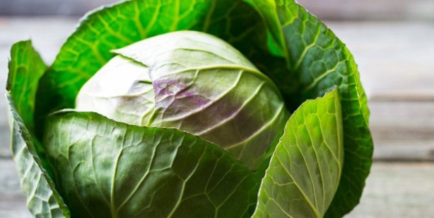 Lahana tüketmenin vücudunuza sağladığı 5 fayda: İnsan sağlığı için elinizin altında olsun! Resmen aday gösterildi