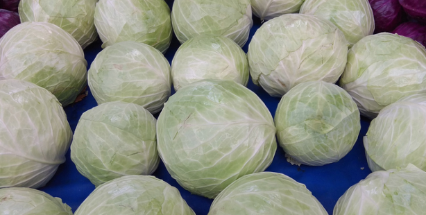 Lahana yağının faydaları nelerdir? Cildin üzerine sürerseniz...Estetik gibi duruyor! Gören yok artık diyor