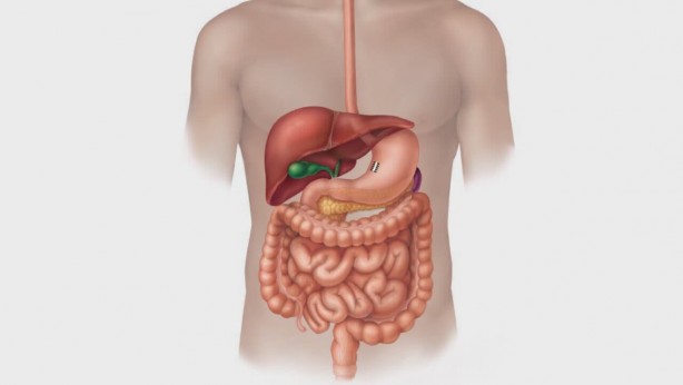 Foto - Lahanada bu kadarı da yoktur diyeceğiniz bulgular! Duyunca çok şaşıracaksınız