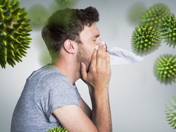 Foto - Lahanada bu kadarı da yoktur diyeceğiniz bulgular! Duyunca çok şaşıracaksınız