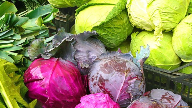 Foto - Lahanada bu kadarı da yoktur diyeceğiniz bulgular! Duyunca çok şaşıracaksınız