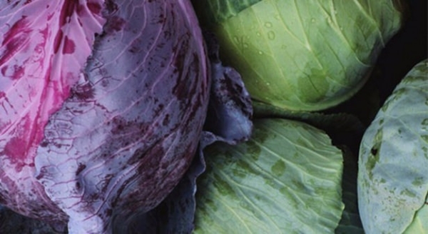 Foto - Lahananın bilmediğimiz faydaları!