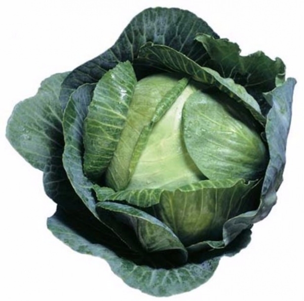 Foto - Lahananın bilmediğimiz faydaları!