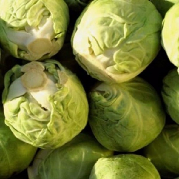 Foto - Lahananın bilmediğimiz faydaları!