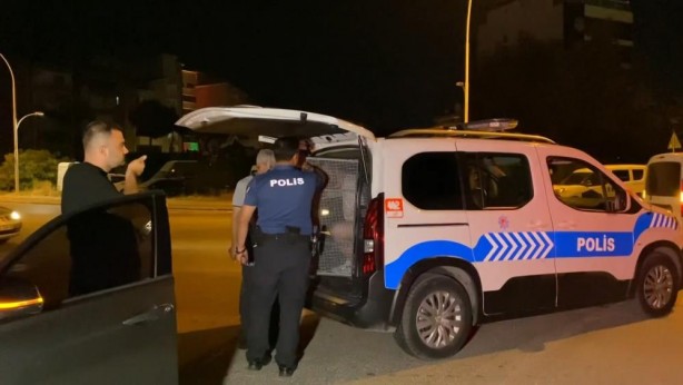 Foto - Laikçilerin yaşam tarzı yine felakete kapı araladı! Ölü ve yaralılar var