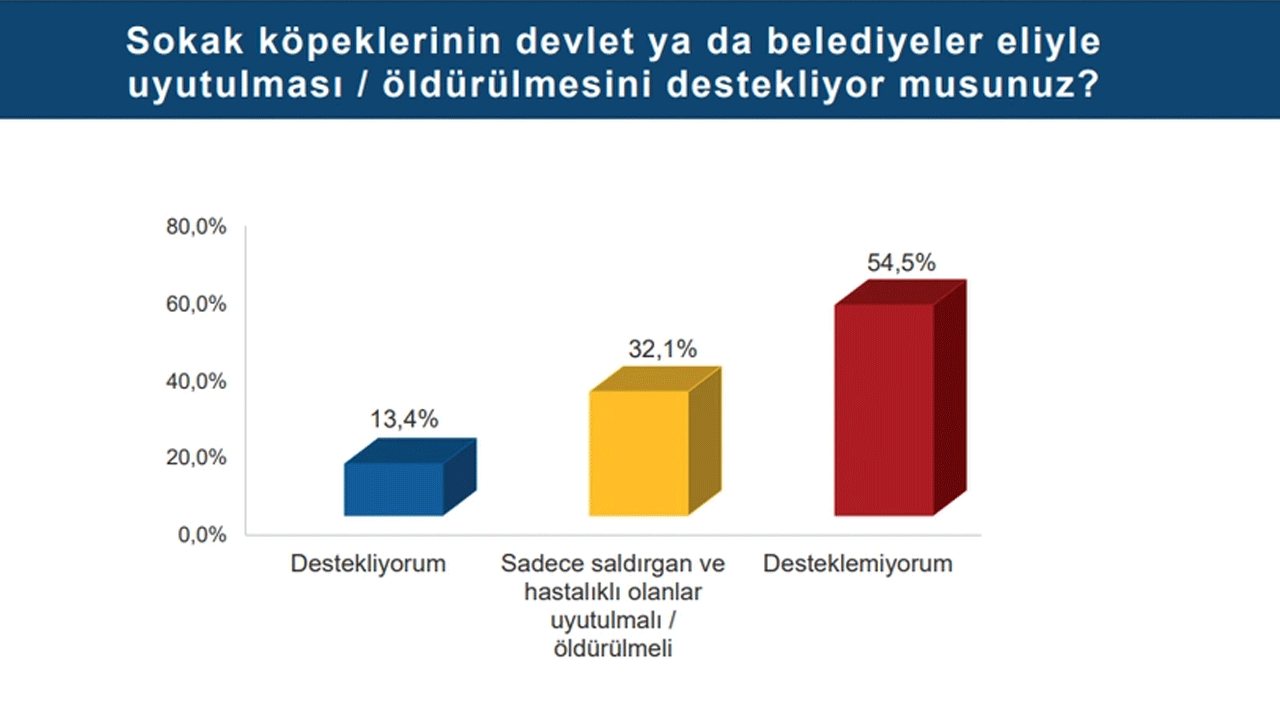 Foto - Laiklik elden gidiyor diye ağlayanlara bakın... Kemalistlerden "dindarlık azalıyor" safsatası